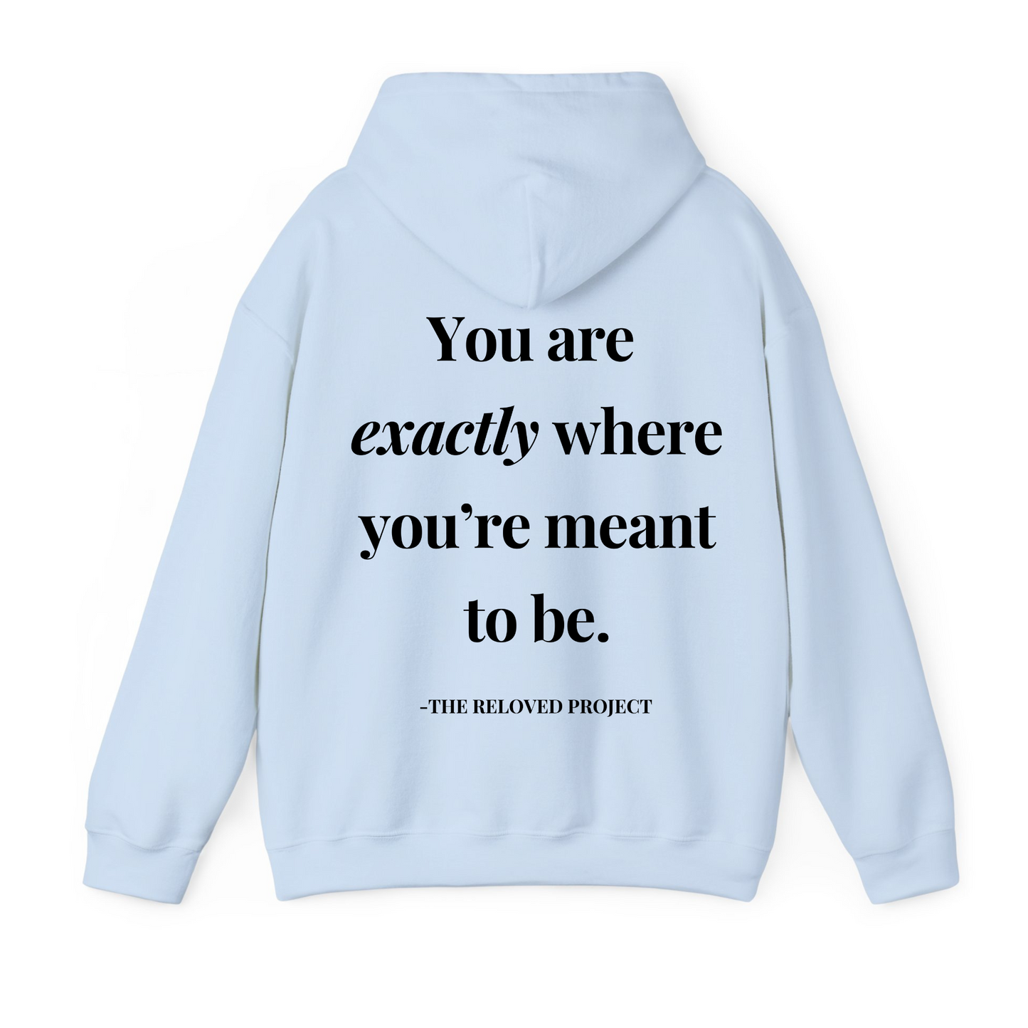Unbecoming everything i was never meant to be Hoodie