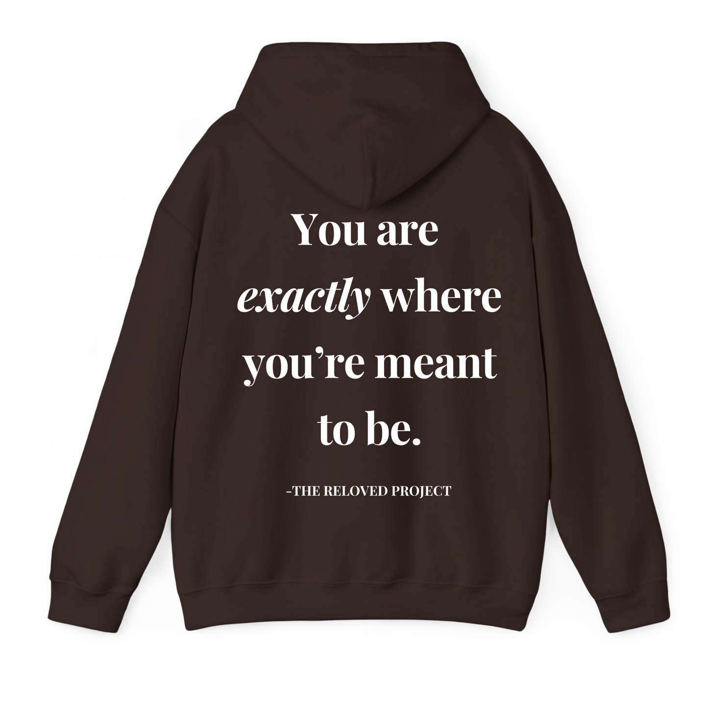 Unbecoming everything i was never meant to be Hoodie