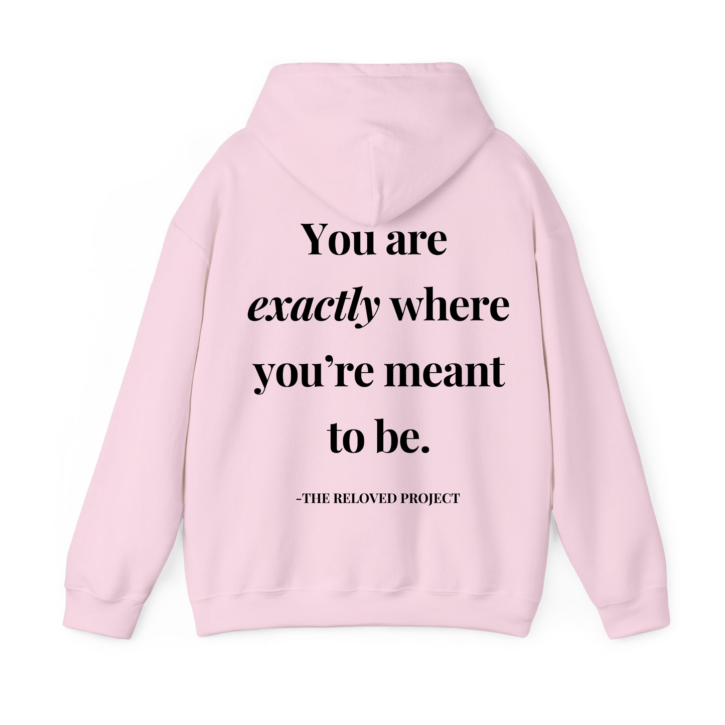 Unbecoming everything i was never meant to be Hoodie